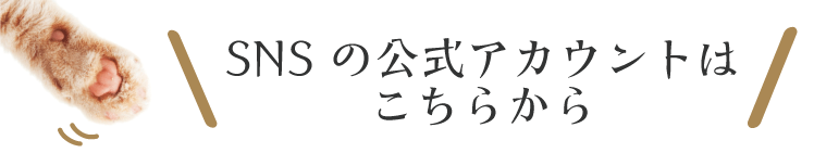 SNSはこちらから